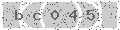 verify code