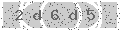 verify code