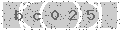 verify code